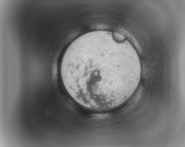 X0000102520251200809051449