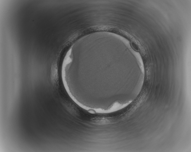 X0000102520254200809051449