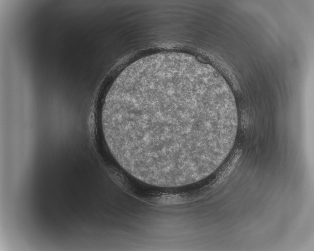 X0000102520256200809051449
