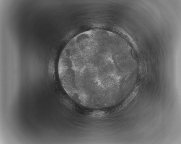 X0000102520257200809051449