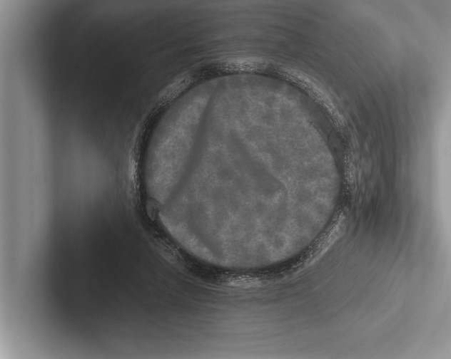 X0000102520258200809051449