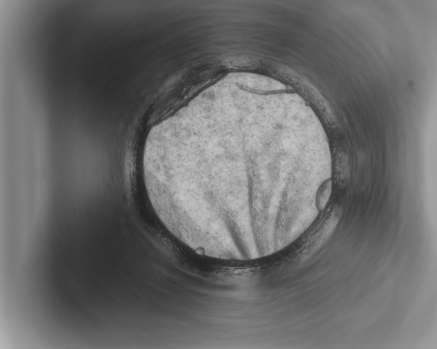 X0000102520260200809051449