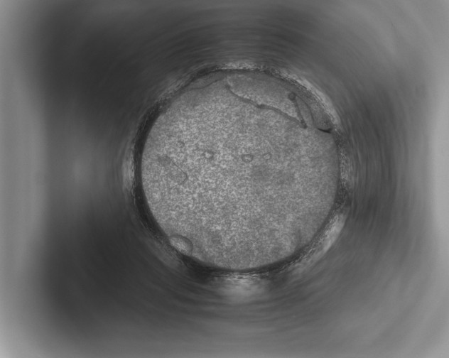 X0000102520261200809051449