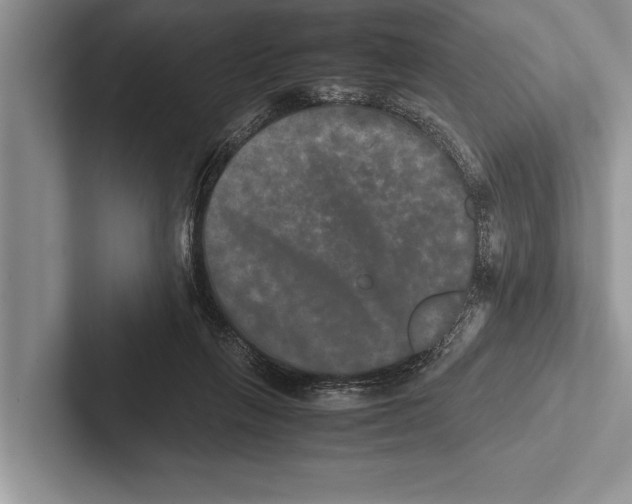 X0000102520263200809051449