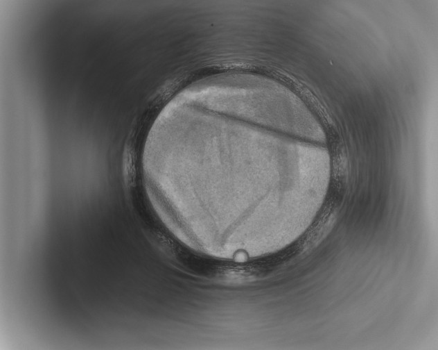 X0000102520264200809051449