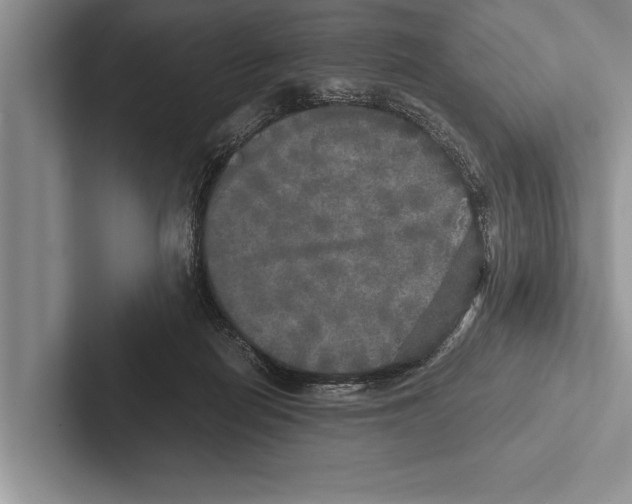 X0000102520266200809051449