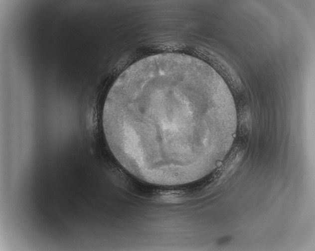 X0000102520268200809051450