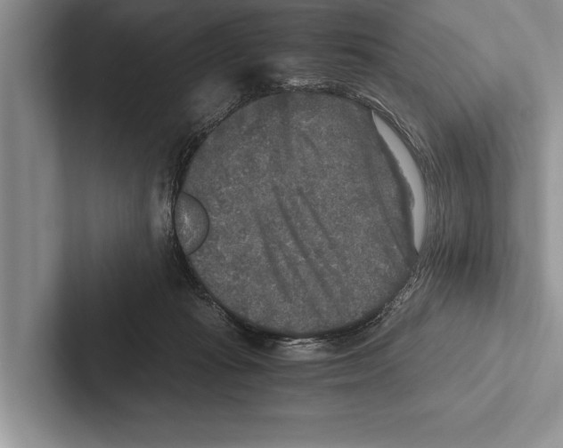 X0000102520269200809051450