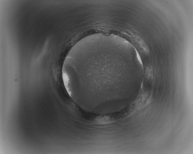 X0000102520271200809051450