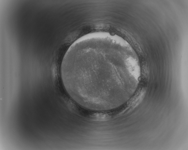X0000102520272200809051450