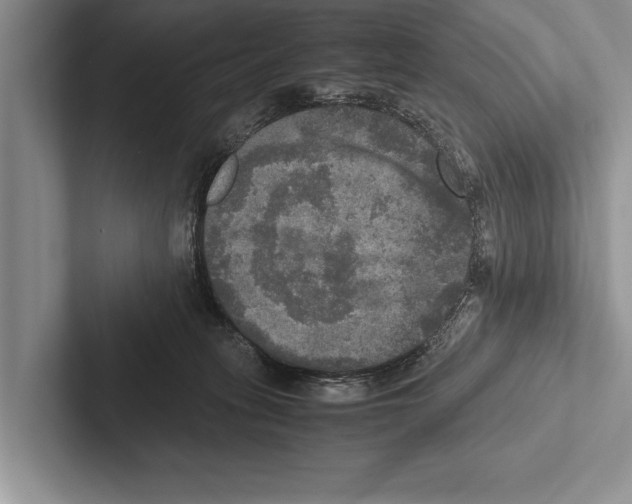 X0000102520275200809051450