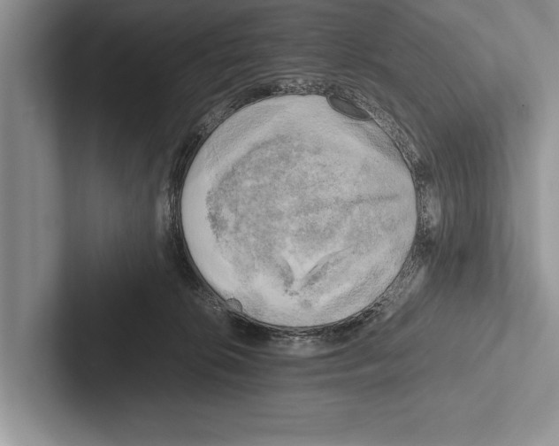 X0000102520276200809051450
