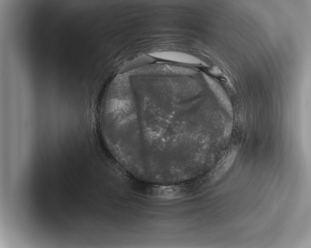 X0000102520277200809051450