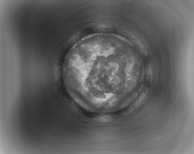 X0000102520278200809051450