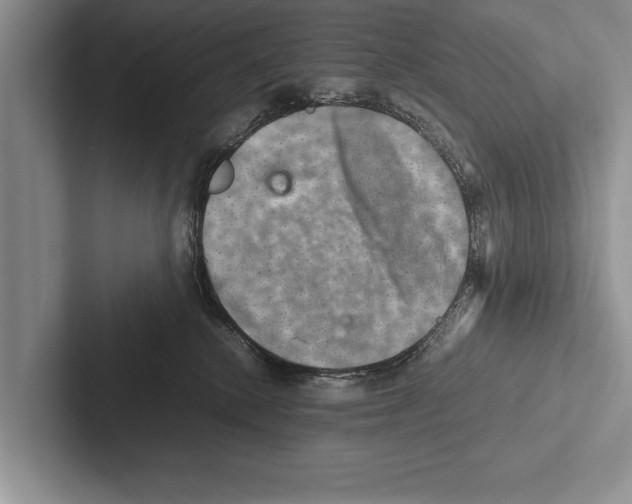 X0000102520280200809051450