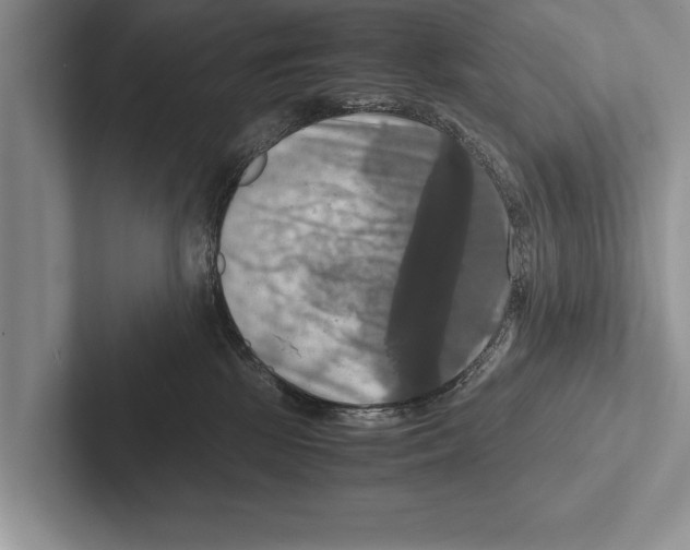 X0000102520281200809051450