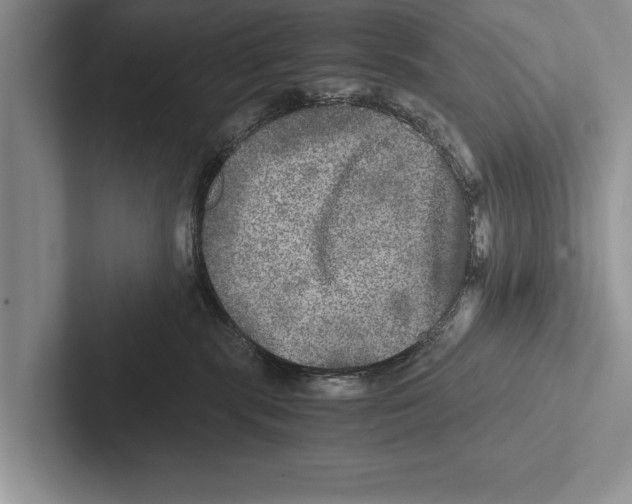 X0000102520283200809051450