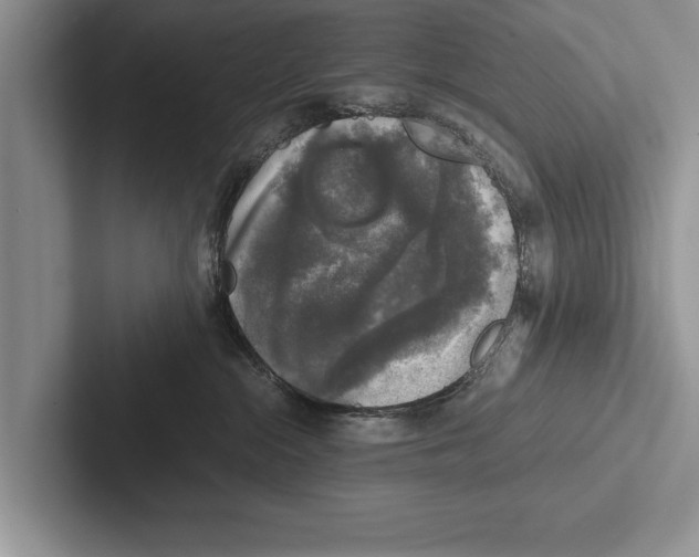 X0000102520284200809051450