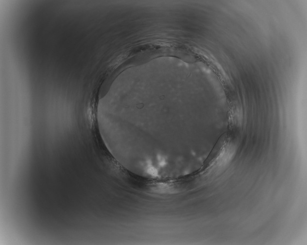 X0000102520285200809051450