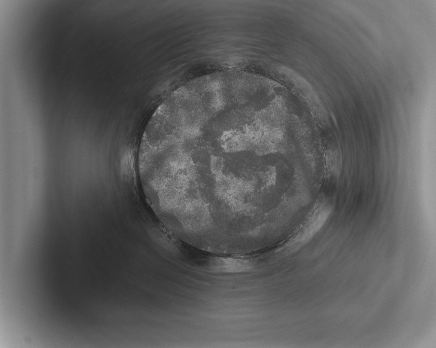 X0000102520286200809051450