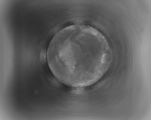 X0000102520288200809051450