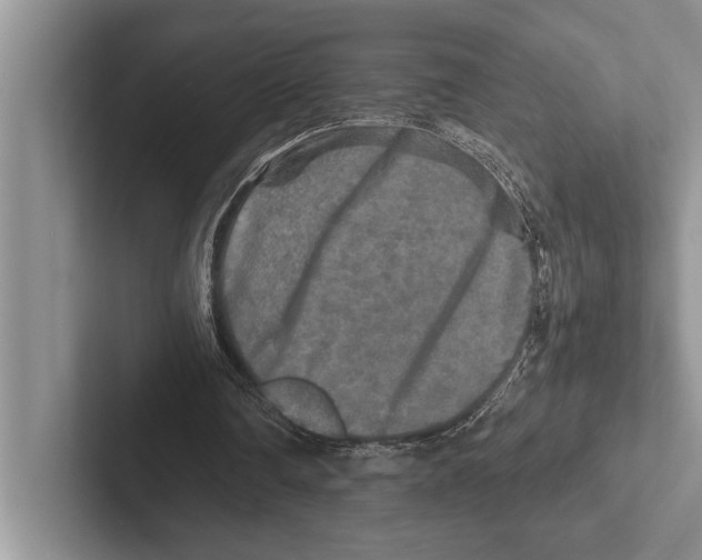 X0000102520290200809051449