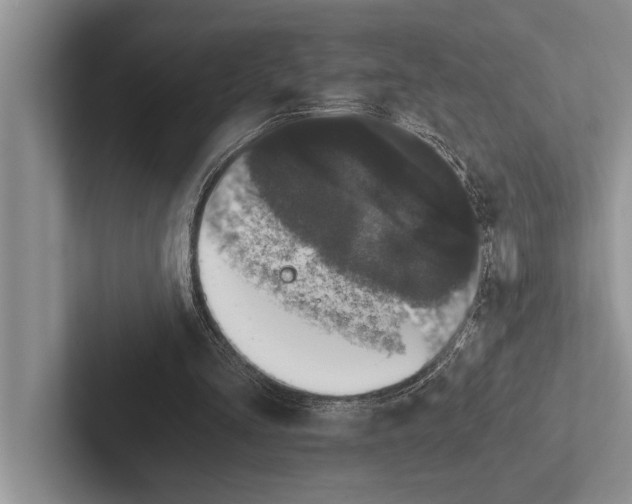 X0000102520293200809051449