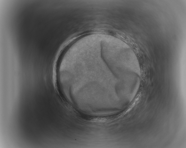X0000102520294200809051449