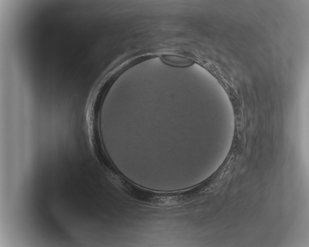 X0000102520295200809051449