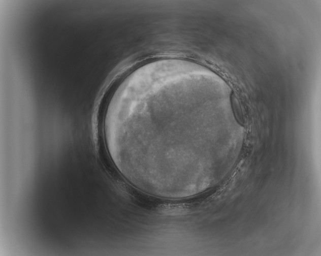 X0000102520296200809051449