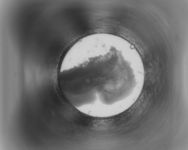 X0000102520297200809051449