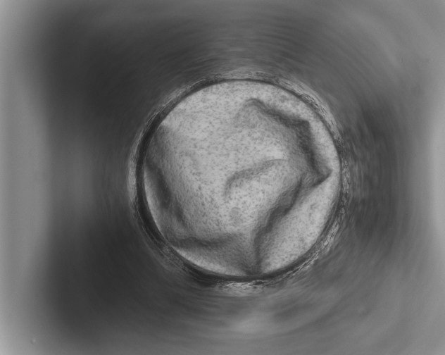 X0000102520298200809051449