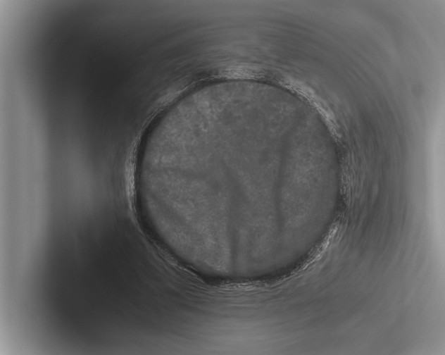 X0000102520299200809051449