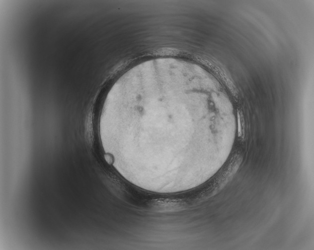 X0000102520300200809051449