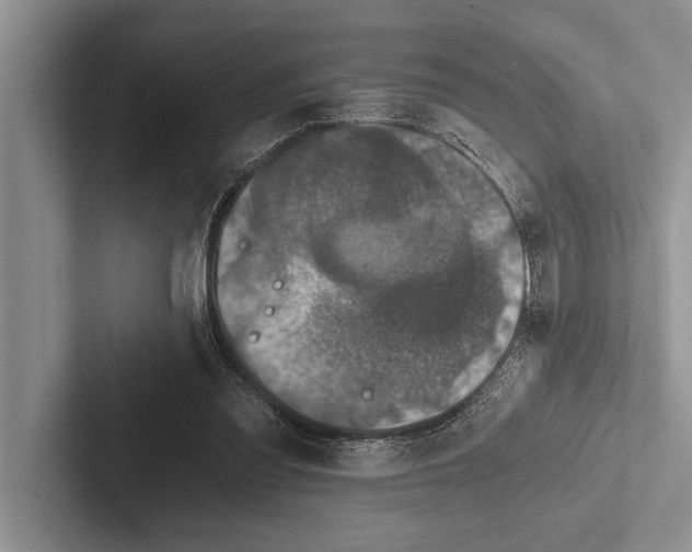 X0000102520301200809051449