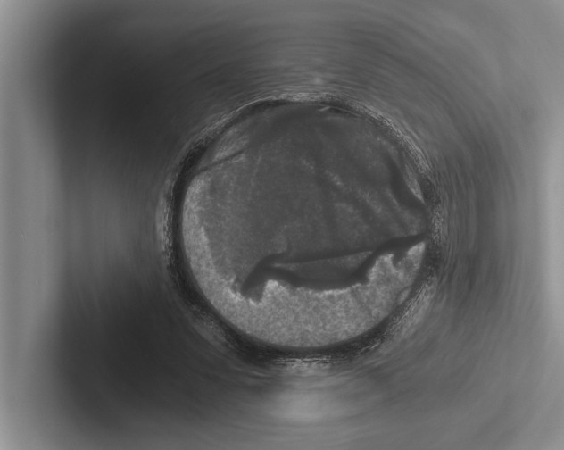 X0000102520303200809051449
