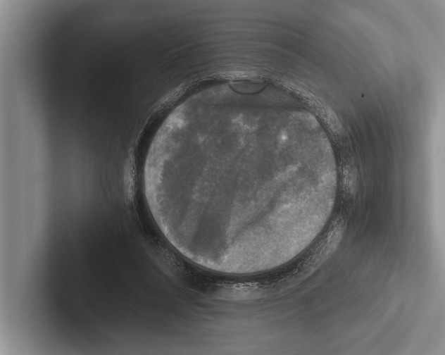 X0000102520304200809051449