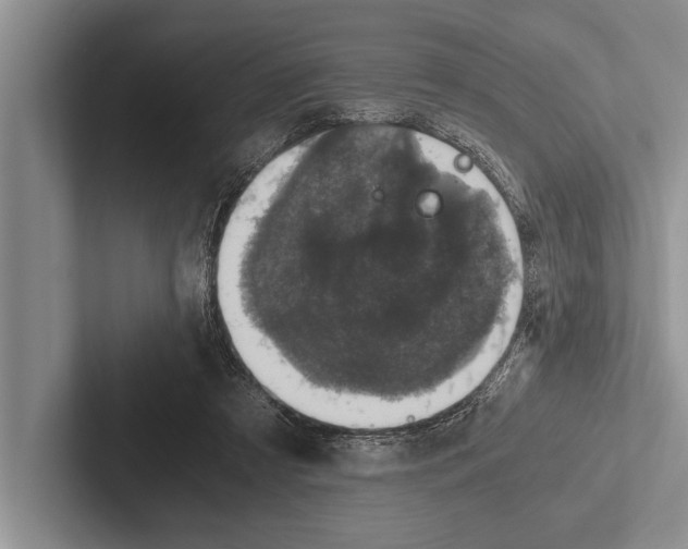 X0000102520305200809051449