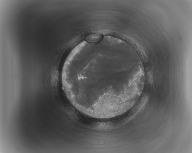 X0000102520308200809051449