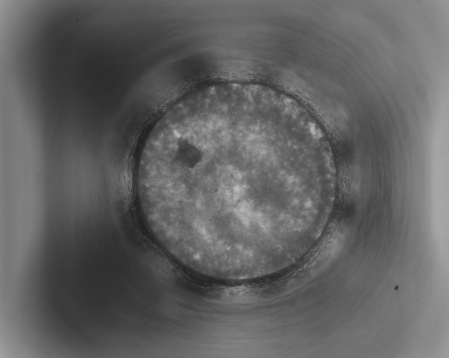 X0000102520309200809051449