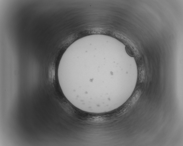 X0000102520310200809051449