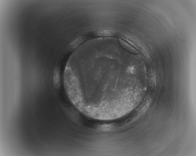 X0000102520312200809051449