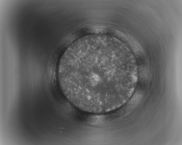 X0000102520313200809051449