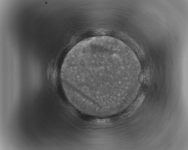 X0000102520314200809051449