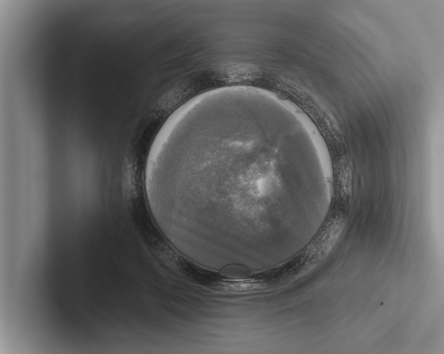 X0000102520316200809051449
