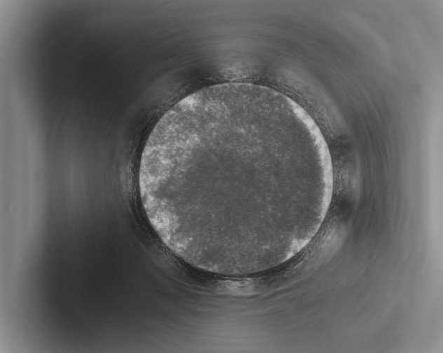 X0000102520317200809051449