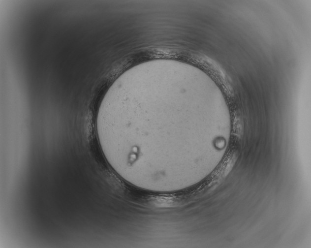 X0000102520318200809051449