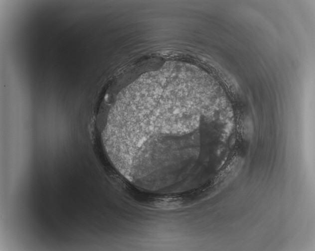 X0000102520319200809051449