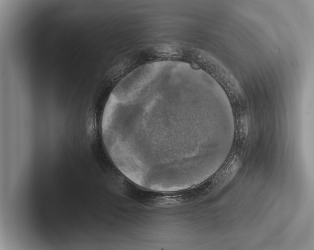 X0000102520320200809051449