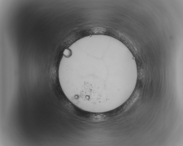 X0000102520321200809051449